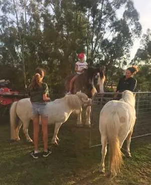 Gypsy Vardo
