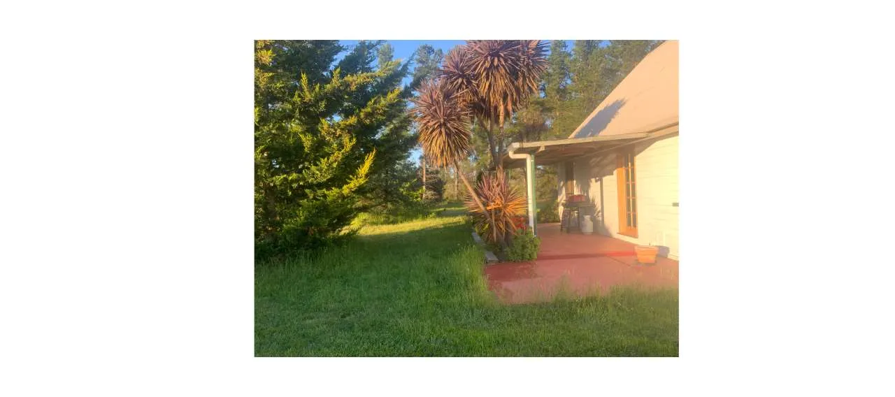 Alexanders The Chalet
