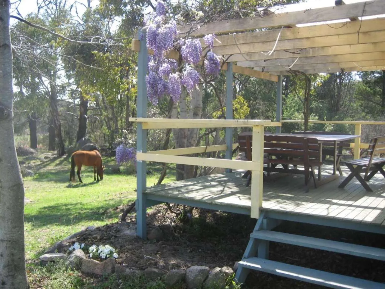 Twisted Gum Cottage