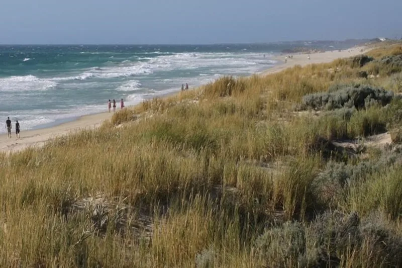 Scarborough & Absolutely Beachfront