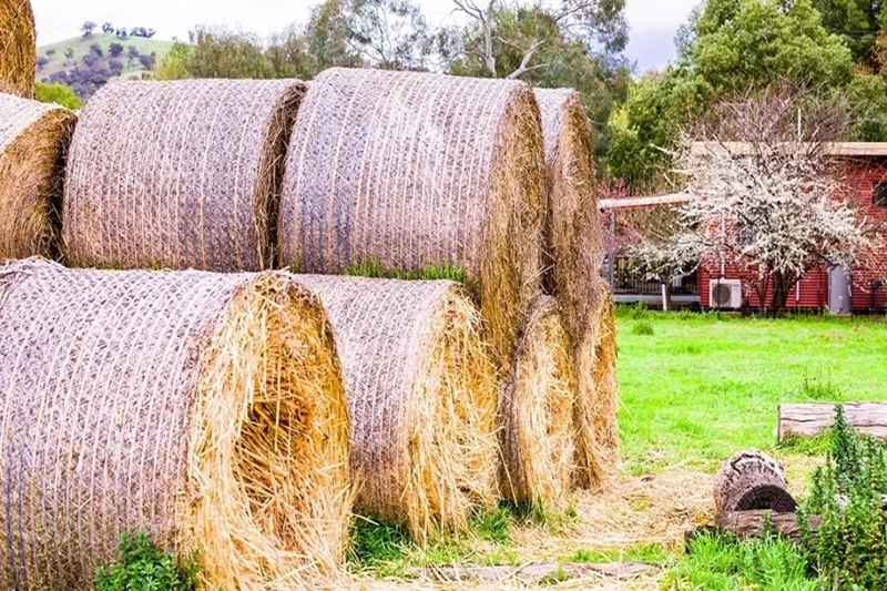 Hillview Farmstay