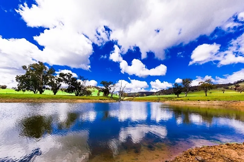 Hillview Farmstay