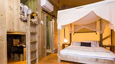 Glamping Safari Tent (Cub)