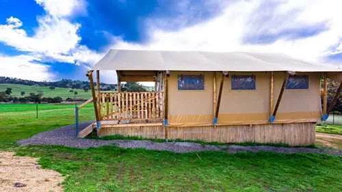 Glamping Safari Tent (Lion)