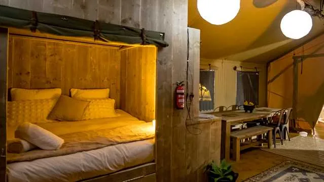 Glamping Safari Tent (Lion)