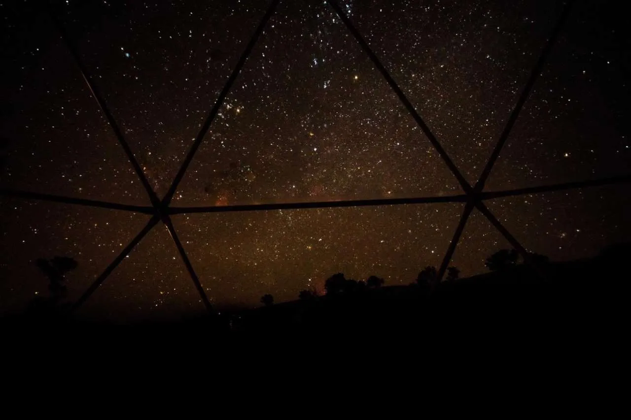 Glamping Dome Tent (Echidna)