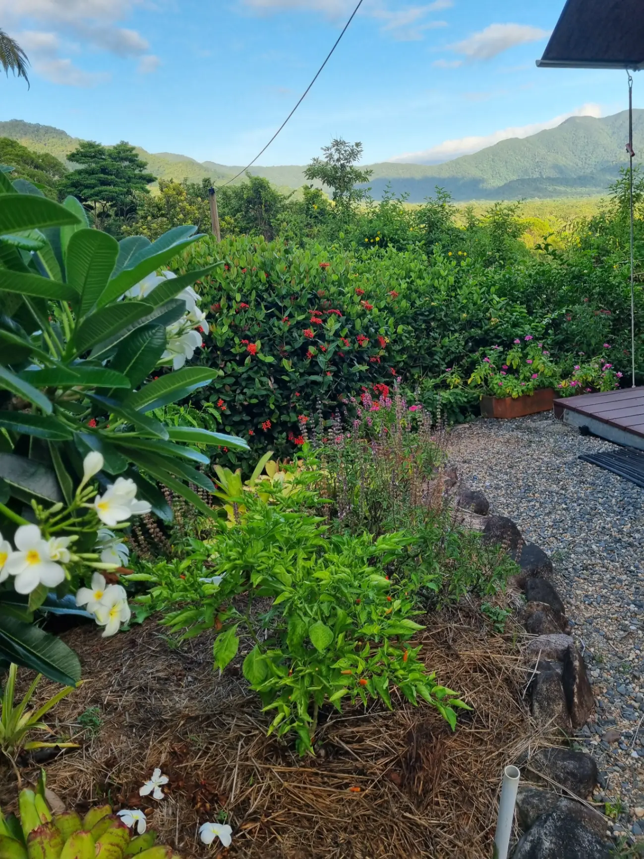 Mangosteen Bungalow