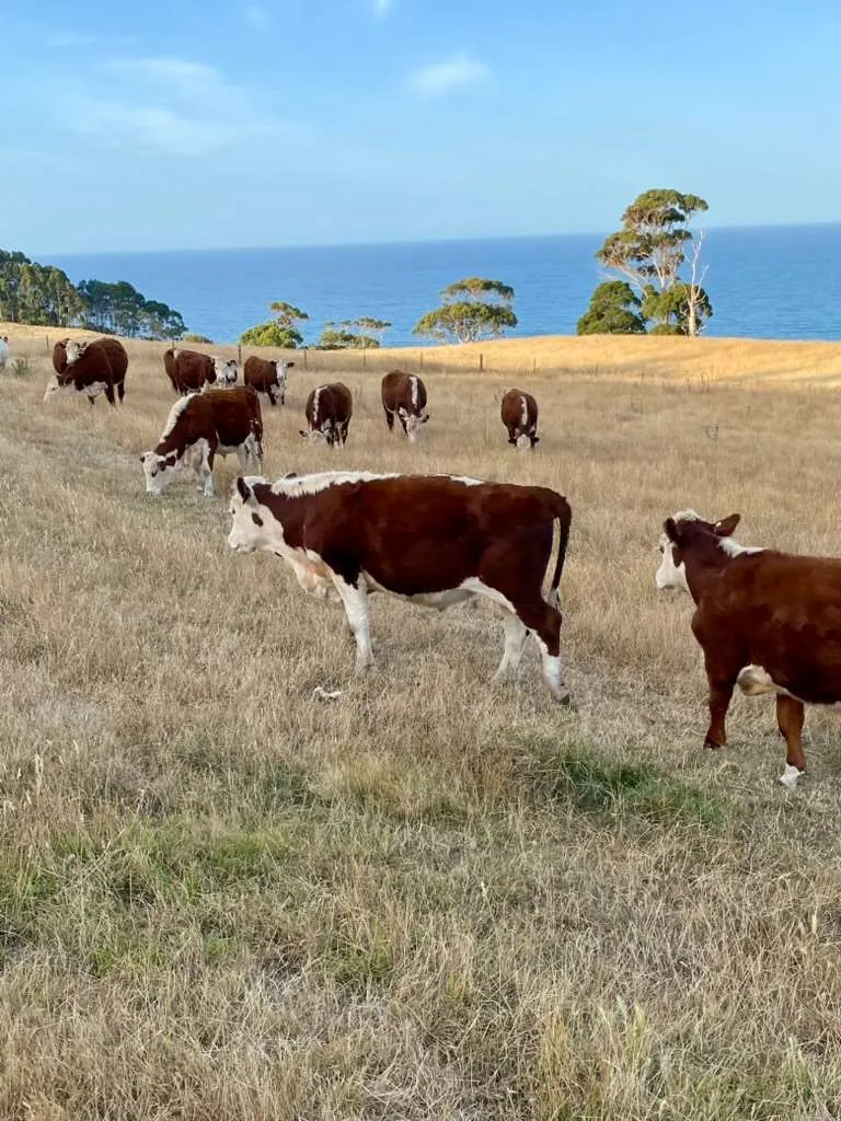 Seaside Farm