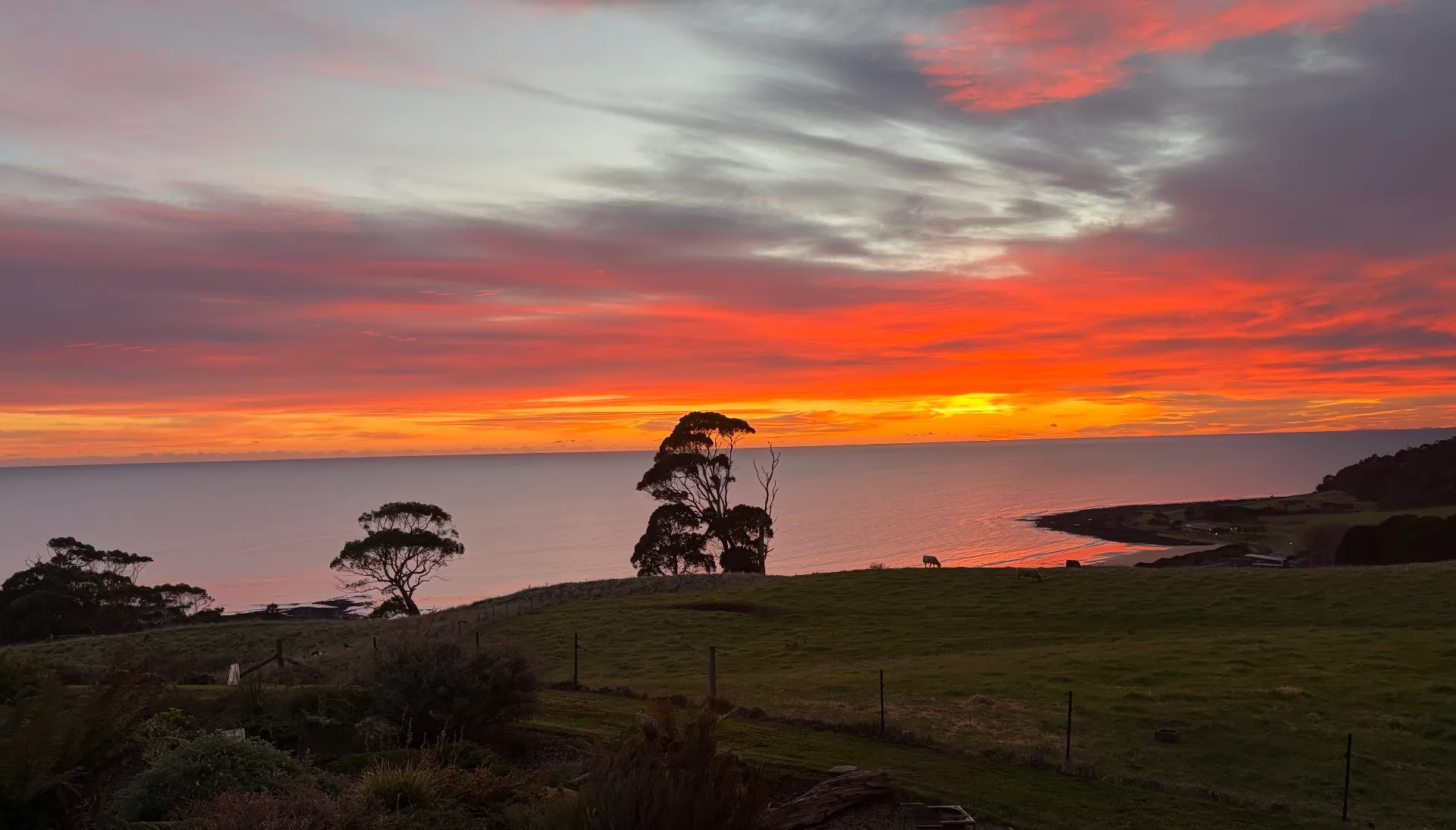 Grevillea Cottage