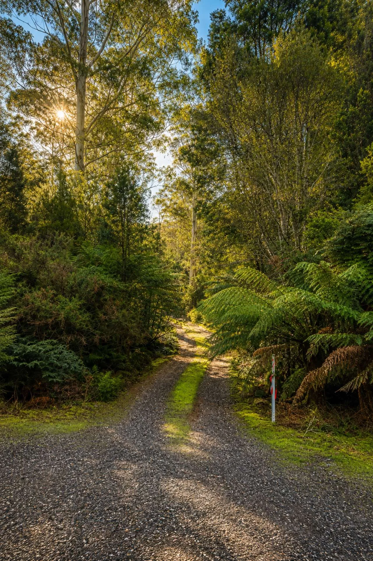 2 Wombat Suite, Cradle Forest Cottages