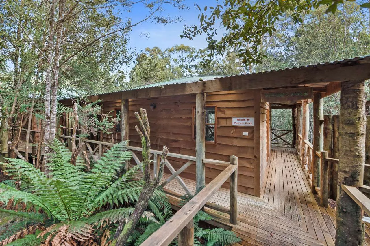 2 Wombat Suite, Cradle Forest Cottages