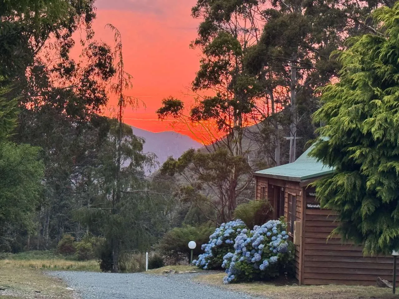 Gumnut Suite, Cradle Gateway Chalets