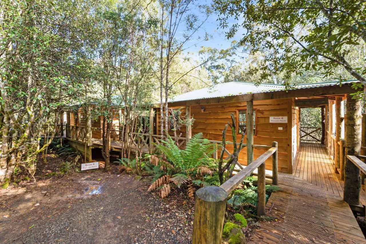 6 Possum's Patch, Cradle Forest Cottages