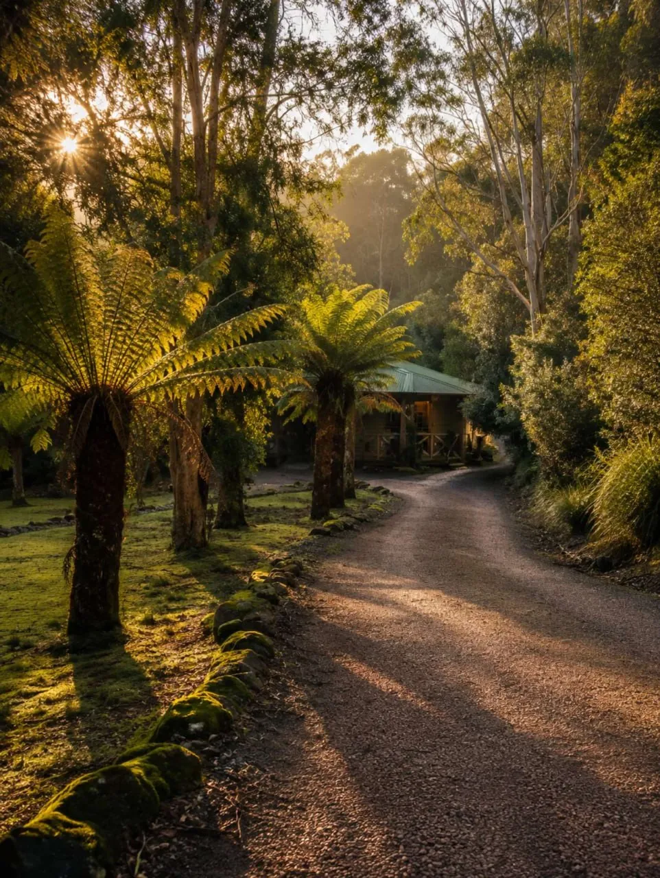 1 Tassie Devil, Cradle Forest Cottages