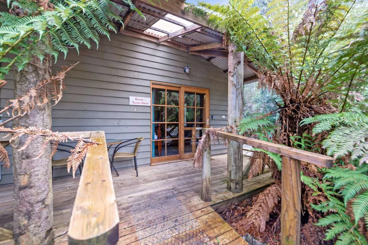 1 Tassie Devil, Cradle Forest Cottages