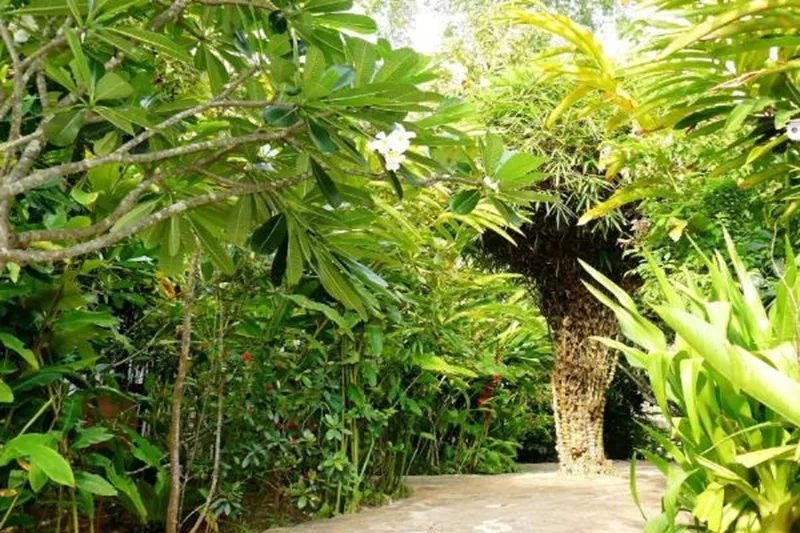 Mealea Resort