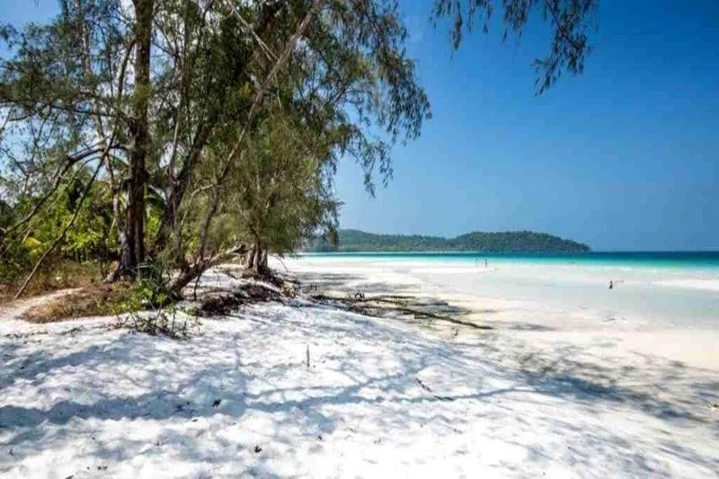 Nest Beach Club