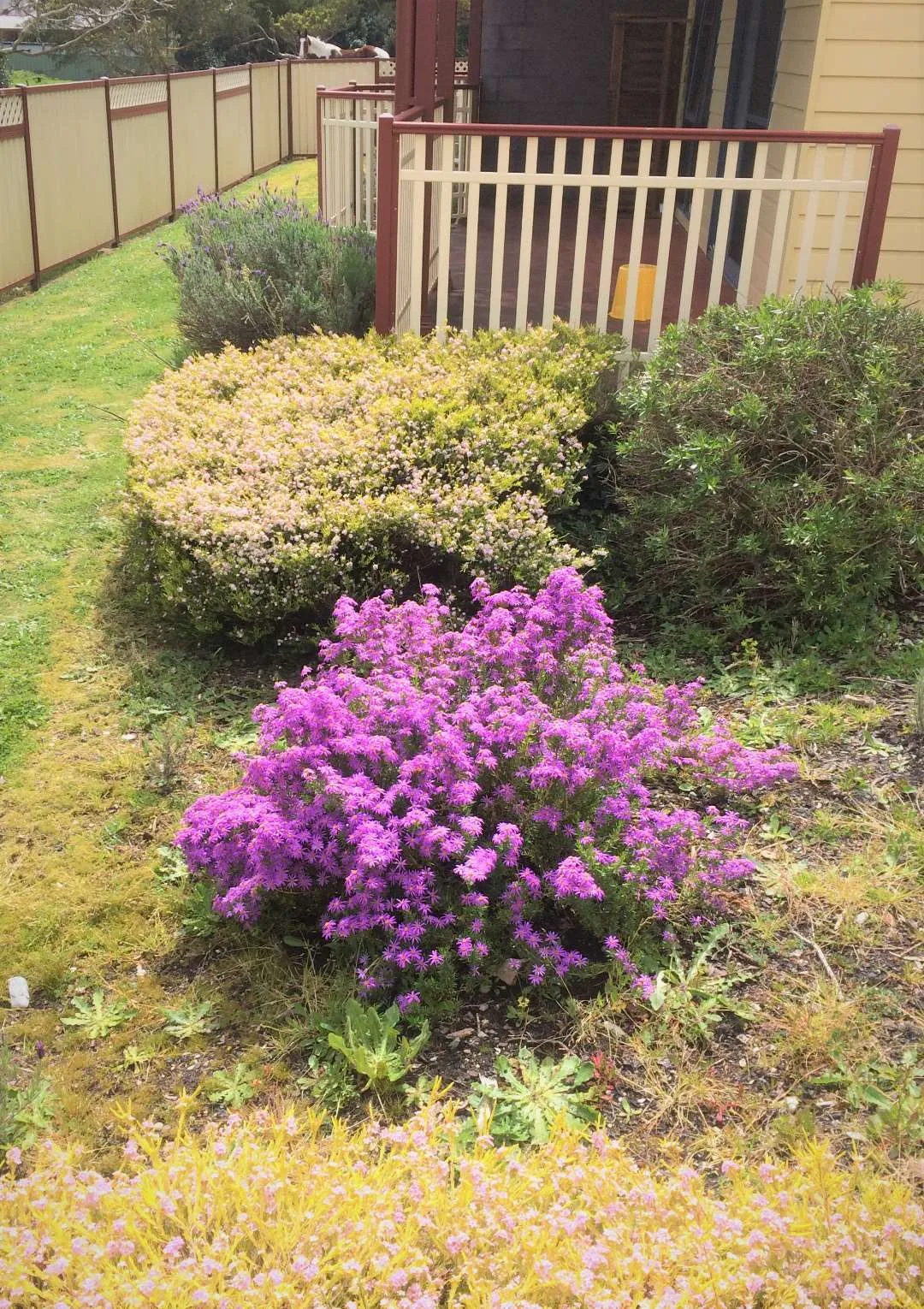 Garden Apartment