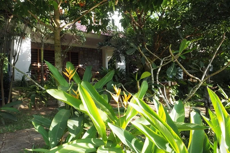 Tara Lodge
