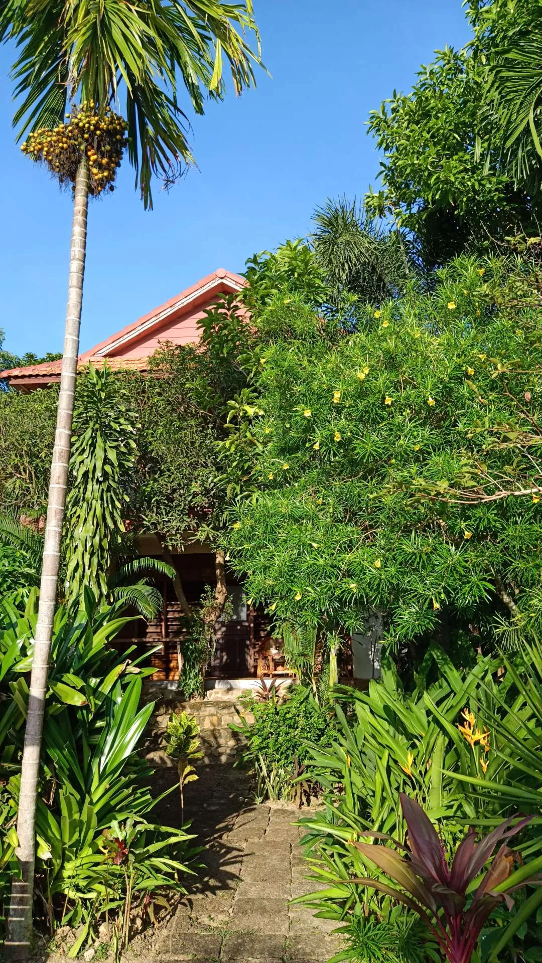 Tara Lodge